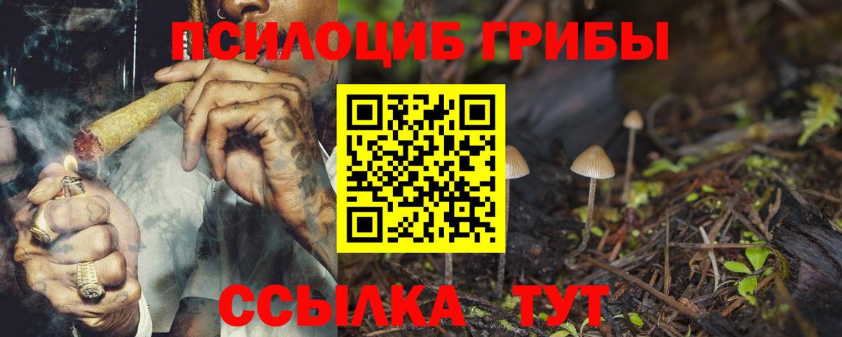 Шали  Галлюциногенные грибы ЛСД  Вход с VPN 