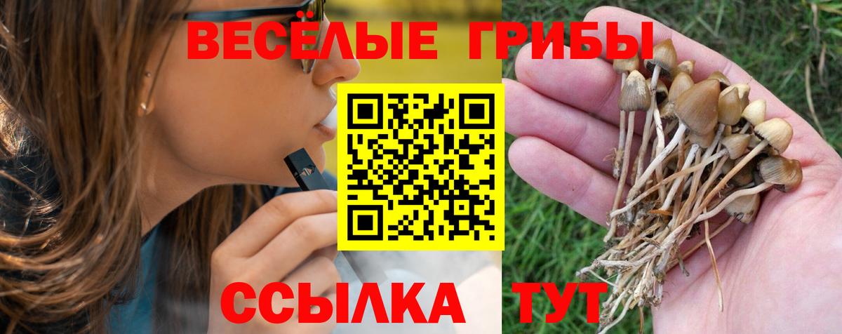 Галлюциногенные грибы MAGIC MUSHROOMS Шали